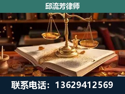 景洪-新型网络犯罪