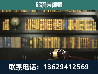 景洪-经济类案件